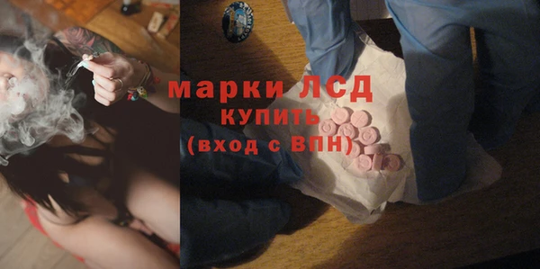 мдпв Бородино