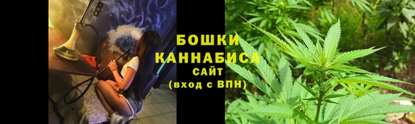амф Богородск