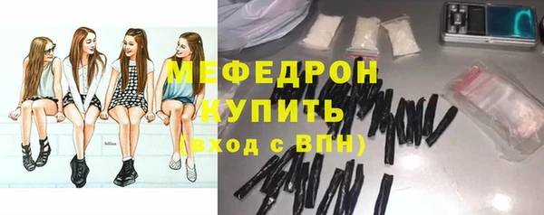 мдпв Бородино
