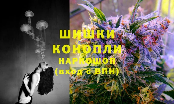 амф Богородск